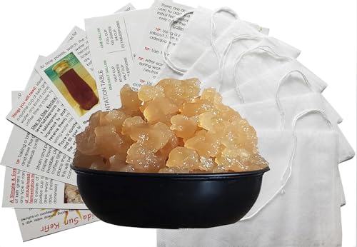 TWO Large Portion Cup with 33% MORE EACH Live Florida Sun Kefir Natural Water Kefir Grains