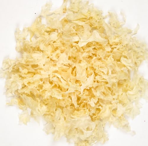 ؎ 炰 AAJbg 낫炰 LNQ ⎨ ؎ VH V Ɩp _͔| T_ ggH Ƃ (1000g)