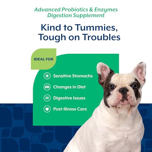Image of NaturVet Advanced Probiotics & Enzymes Dog Supplement - 240 Soft Chews