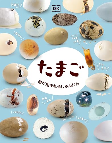 たまご 命が生まれるしゅんかん