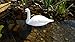 Pond H2o Full Size Floating White Mute Swan Decoy, Plastic Lifelike Floating Swan Decoration for use in Water Garden Ponds, Pools, Yards & Lakes