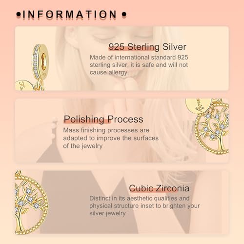 Image of S925 Sterling Silver Gold Plated Romantic Charms, Gifts for Mom Girlfriend Family on Valentine's Day Birthday Christmas Anniversary, Bracelet Necklace Bead Charm
