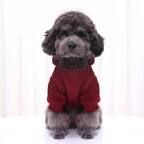 YeeHui Plus Moletom com capuz de bolso para cães roupas bípeis design de cor pura decoração quente c
