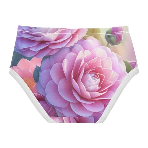 Funny Girls Underwear Toddler 2t Cotton Little Girl Panties Dreamy Pink Floral Briefs Undies Kids2