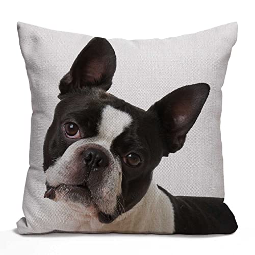 Tomda Housse de coussin décorative en coton et lin Motif bouledogue français 45 x 45 cm