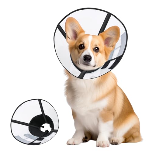 Collare Elisabettiano Morbido di Recupero per Cani, Anti-Leccamento Post-Intervento, Cono Regolabile e Pieghevole (Nero, S)