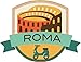 Roma Italy World City Travel Label Badge Alta Calidad De Coche De Parachoques Etiqueta Engomada 12 x 10 cm