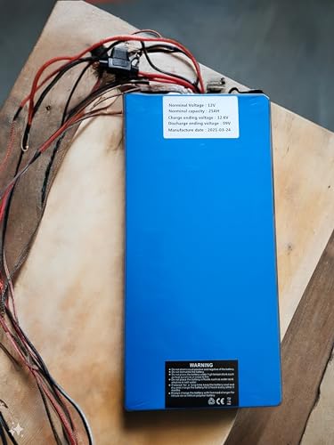 Batterie 12V 25Ah idéale pour camping-car et éclairage solaire de jardin