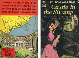 Castle in the Swamp B00DONQP86 Book Cover