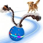 Interactive Dog Toys, 2 Smart Modes Automatic Rolling Ball, Motion Activated Self Moving Dog Ball with Rope, LED Lights & Bird Chirping, USB-C Rechargeable for Small to Large Dogs (Blue)