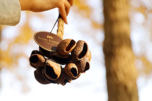 Sonic Energy SPGRS Meinl Sonic Energy Seed Shell Shaker Percussion Instrument — Nature Sounds thumb #2