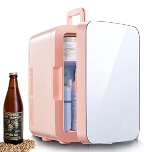 Mini Fridge for Bedrooms 10L/11 Cans with Mirror, Small Skincare Beauty Fridge Portable with AC/DC Powered, Cooler…
