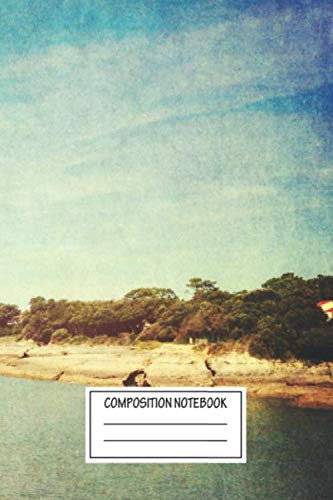 Composition Notebook: Abstract Atlantic French West Coast Wide Ruled Note Book, Diary, Planner, Journal for Writing