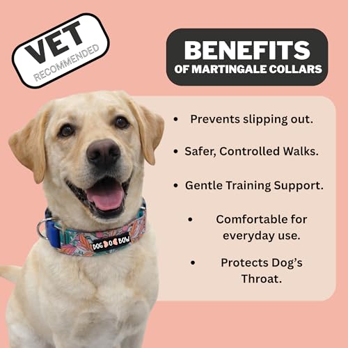 Image of Dog-O-Bow Tropicana Print Martingale Dog Collar, Durable, Comfortable & Adjustable Training Collar (L)