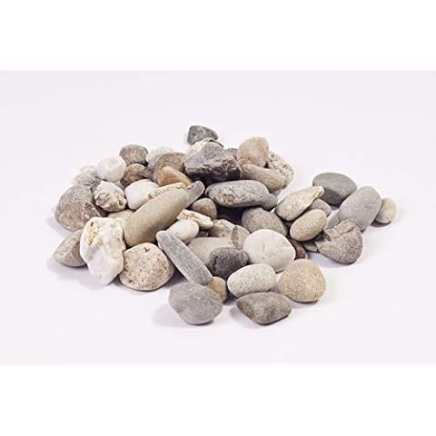 Jawoll 25 kg Buntkies 20-40 mm Körnung Zierkies Gartenkies Teichkies Waschkies Rheinkies Zen Garten Deko Wegkies Wegsteine Gartenweg Cover