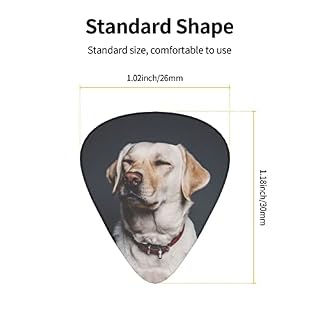 Ensemble de 12 médiators de guitare pour chien Labrador mignon pour guitare acoustique, guitare électrique, contrebasse… - Les Beatles, Paul McCartney, John Lennon, RIngo Starr, George Harrison Ensemble de 12 médiators de guitare pour chien Labrador mignon pour guitare acoustique, guitare électrique, contrebasse… – Image 4
