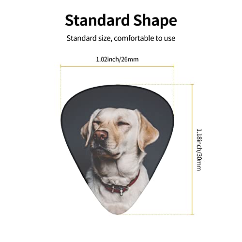 Ensemble de 12 médiators de guitare pour chien Labrador mignon pour guitare acoustique, guitare électrique, contrebasse… - Les Beatles, Paul McCartney, John Lennon, RIngo Starr, George Harrison Ensemble de 12 médiators de guitare pour chien Labrador mignon pour guitare acoustique, guitare électrique, contrebasse… – Image 5