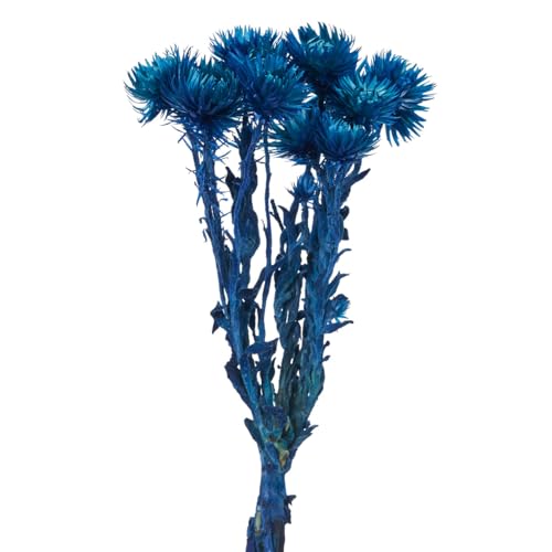 ���k�ԍ� �h���C�t�����[ �V���o�[�f�[�W�[�~�j ��L30cm 20g�� FD004441-032