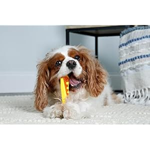   Hartz-Chew-n-Clean-Dental-Duo-Dog-Treat-Chew-Toy-Color-Varies-Medium-3-Pack