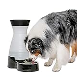 PetSafe Healthy Pet Water Station - Large, 320 oz Capacity - Gravity Pet Water Fountain, Automatic Cat Water Fountain or Dog Water Fountain - Water Dispenser - Removable Stainless Steel Bowl Included