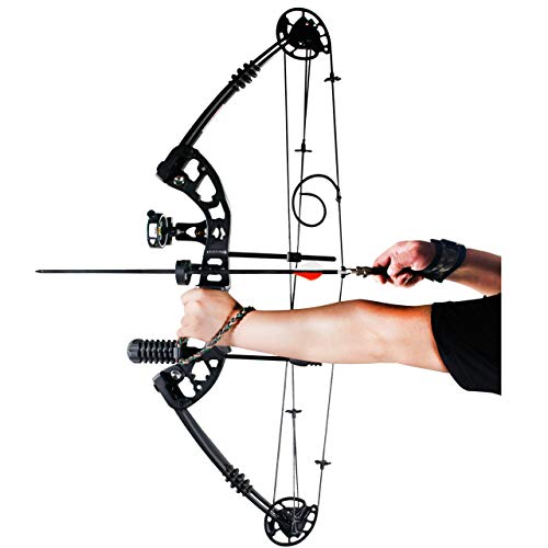 image for SinoArt Compound Bow 30-55lbs 24