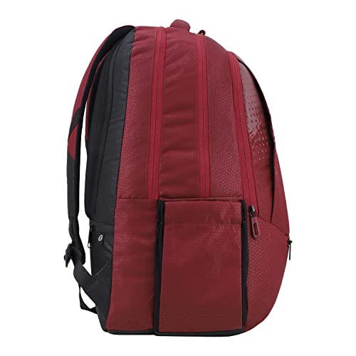 Image of Arctic Fox 46 Liters Reel Plus Black Laptop Backpack