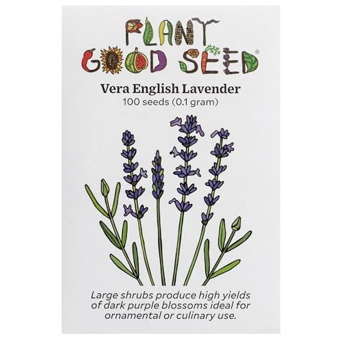 Plant Good Seed Vera English Lavender Flower Seeds for Planting: Essential Oil Shrub, Dark Purple Blossoms - 100 Seed Packet Plant Good Seed Vera English Lavender Flower Seeds for Planting: Essential Oil Shrub, Dark Purple Blossoms - 100 Seed Packet