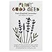 All Good Things Organic Seeds Vera English Lavender Seeds (~100): Certified Organic, Non-GMO, Heirloom, Open Pollinated Seeds from the United States