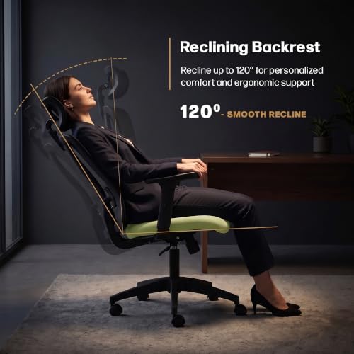 Image of DROGO Ergonaut Ergonomic Office Chair for Work from Home | Computer Chair with 2D Headrest, Armrests & Adjustable Lumbar Support | Breathable Mesh with 120 Recline, 1-Year Warranty (Black & Green)