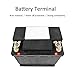 1 Pair SAE to JIS Car Battery Terminal Connector,Car Battery Terminal Clamps,Positive Negative Top Post Quick Release Disconnect Car Battery Cable Terminal for Auto