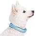 Blueberry Pet Adjustable Dog Collar, Soft & Safe, 3M Reflective, Neoprene Padded, Blue Pastel, Dog Collars for Medium Dogs, Small Dog Collar, Eco-Friendly, Perfect for Pet Lovers & Owners