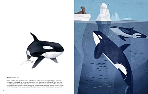 Wild Animals of the World