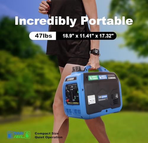 Dd Dinking DK3000ID Dk 3000W Dual Fuel Inverter Generator thumb #2