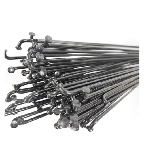 Rayons de course légers en acier inoxydable J-Bend 14G pour VTT et vélo de route