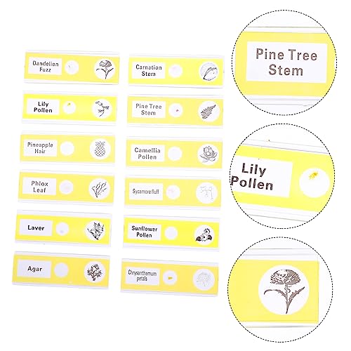 FUNOMOCYA 12pcs Glass Slide Microscope Slide for Kids Plastic Prepared Microscope Slides Child Botany 3 41WtgEWbRiL