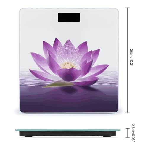 Báscula de Baño Digital FodPand con Vidrio Templado y LCD miniatura 2