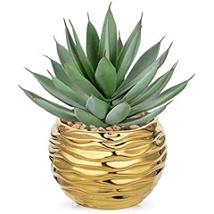 Aloe-gold Ceramic Pot