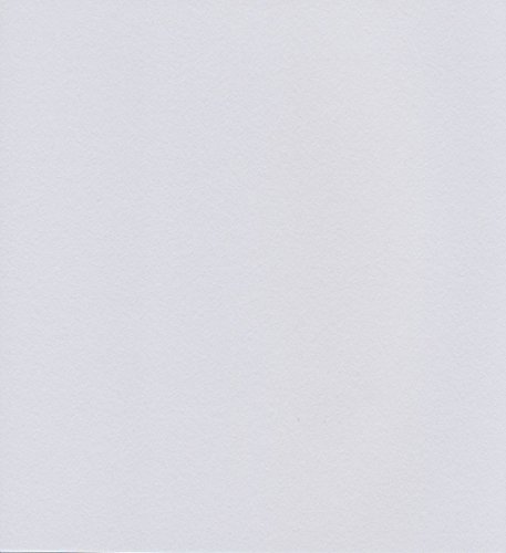 エスケント ケント紙 スターカラー 八切 ミスト 100枚 5732008