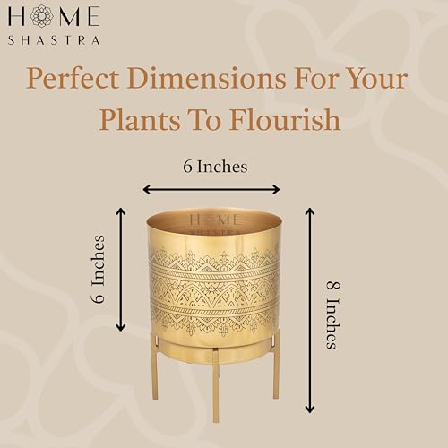 Image of Raaga Gold Metal Planter with Stand | Pack of 1 | 8 Inch (Height) 6 inch (Diameter) Planters for Living Room, Bedroom Decor