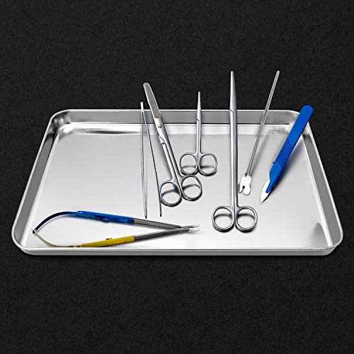 image for QWORK Stainless Steel Surgical Tray, for Medical Instruments, Tattoo, 