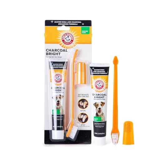 Arm & Hammer for Pets Dog Dental Care Fresh Breath Kit for Dogs | Includes Arm & Hammer Baking Soda Dog Toothpaste and Dog Toothbrush | Dog Plaque Removal Kit