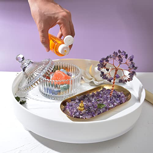 Hiboro Crystal Incense Holder, Crystal Money Tree Incense Sticks Holder For Wealth And Luck. Incense Burner Holder Yoga Meditation Home Decor Gift With 7 Raw Chakra Stones (Rectangle Shape) #TOP2