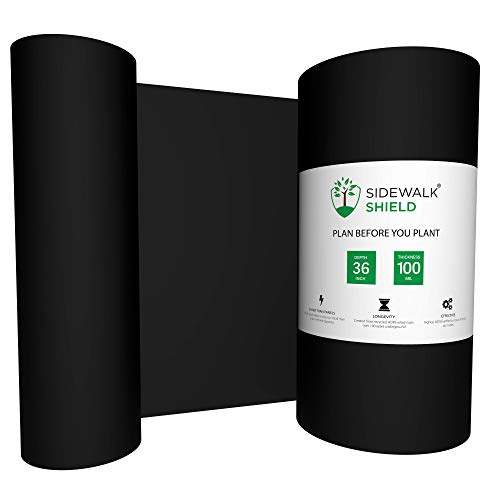 Sidewalk Shield - Tree Root Control Barrier (Heavy Duty - 36 inch Depth, 25 feet)