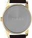 Timex Men's Easy Reader 38 mm Watch - Brown Leather Strap with White Dial and Gold-Tone Case TW2Y12700