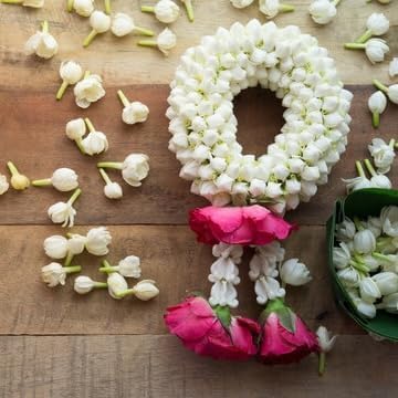 Miniatura 9 de Jazmín árabe (Jasminum Sambac) - Planta viva, fragante, en floración, planta decorativa para interiorexterior (4 bolsas de Jazmín árabe)