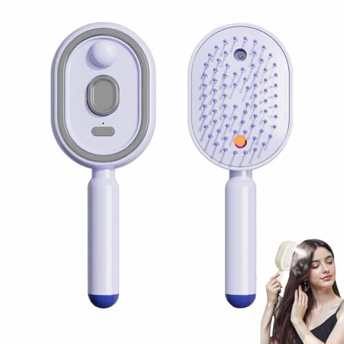 Electric Steam Brush for Hair,Rechargeable Misting Brushing,Air Cushion Mister Brush,Detangling & Anti-Static,Reduce Frizz,Smoot