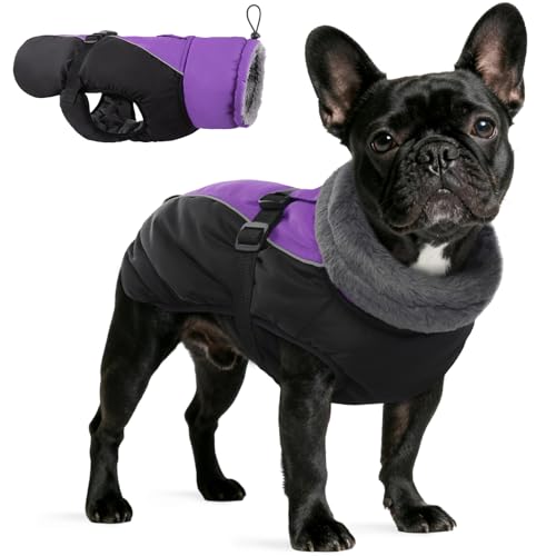 IDOMIK Reflective Waterproof Dog Winter Coat