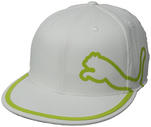 PUMA Men's Monoline 210 Performance Cap, Green, Small/Medium