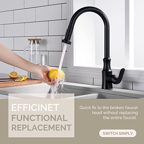 Review of Faucet Spray Head Matte Black, Angle Simple Replacement Pull
