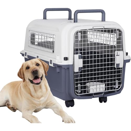 TOOWOO[O\ȃfUC] |[^uvX`bNybg{bNX ^E^LEpq{bNX |[^uybgA{bNX qAɓK ʋCƉK ybgsP[W ({bNXNo.1/S+AoA+݂蔫i450Aj)